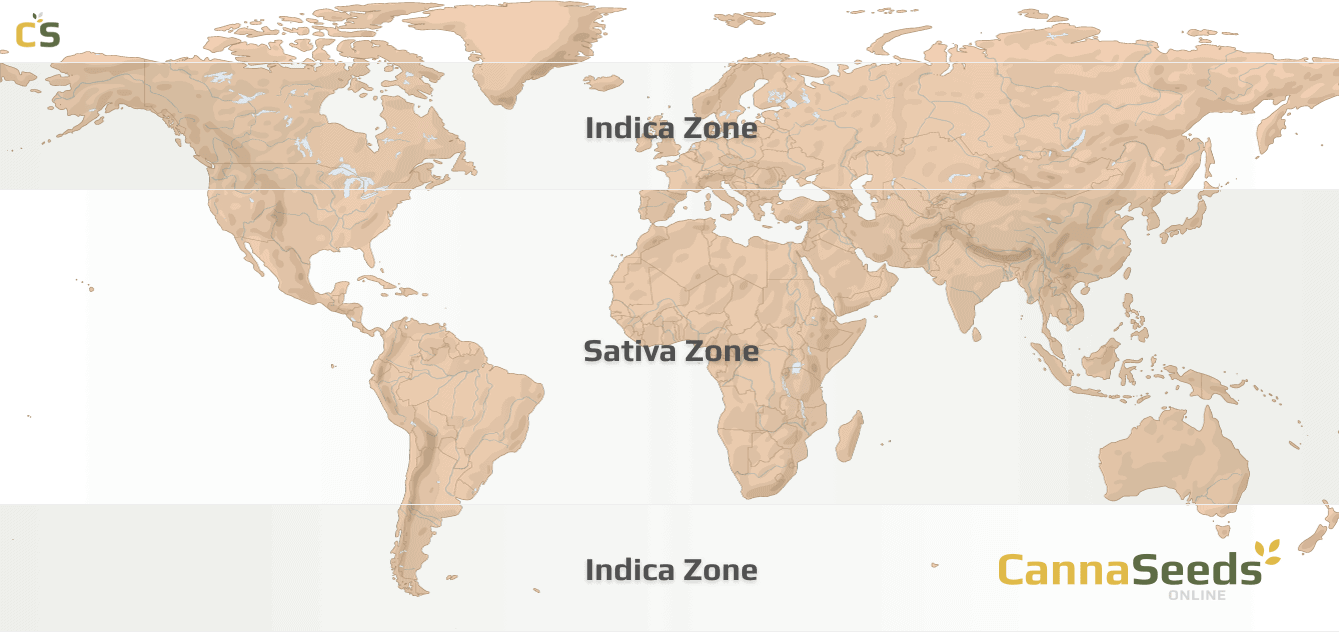 Marijuana Seeds origin map Image